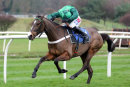 Race 1 - Adjali (9)