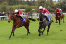 Race 1 - All Out (8)