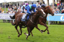 Race 1 - Aquarium (3)
