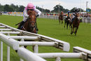 Race 1 - Arctic Fox (3)