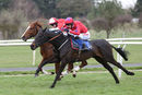 Race 1 - Bennys Bridge (4)