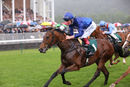 Race 1 - Big City (10)