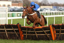 Race 1 - Bird On The Wire (2)