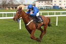 Race 1 - Bird On The Wire (5)