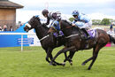 Race 1 - Blackcurrent (6)
