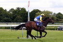 Race 1 - Blue Medici (11)