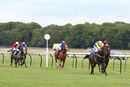 Race 1 - Blue Medici (3)
