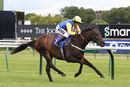 Race 1 - Blue Medici (6)