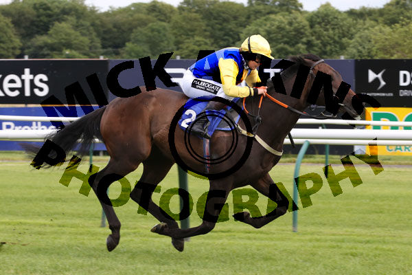 Race 1 - Blue Medici (7)