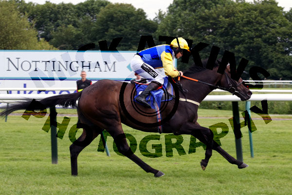 Race 1 - Blue Medici (9)