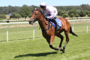 Race 1 - Boco Fittleworth (12)