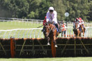 Race 1 - Boco Fittleworth (6)