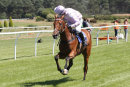 Race 1 - Boco Fittleworth (9)