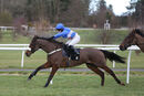 Race 1 - Bold Plan (4)