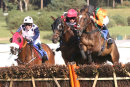 Race 1 - Bollin Line (6)