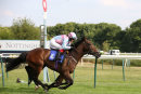 Race 1 - Bollin Ted (11)