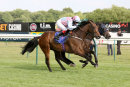 Race 1 - Bollin Ted (9)