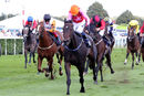 Race 1 - Breathtaking Look (3)