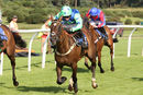 Race 1 - Capitoul (8)