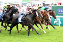 Race 1 - Chiefofchiefs (12)