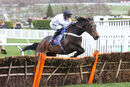 Race 1 - Constitution Hill (2)