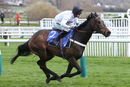 Race 1 - Constitution Hill (6)