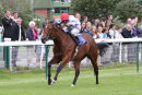 Race 1 - Converter (4)