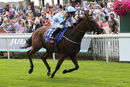 Race 1 - Copper Knight (2)