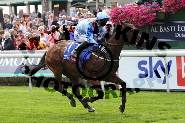 Race 1 - Copper Knight (3)