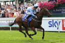 Race 1 - Copper Knight (3)