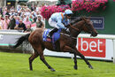 Race 1 - Copper Knight (4)