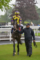 Race 1 - Daddies Diva (13)