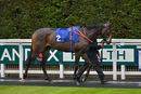 Race 1 - Daddies Diva (2)