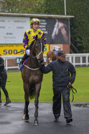 Race 1 - Daddies Diva (3)