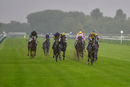Race 1 - Daddies Diva (4)