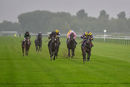 Race 1 - Daddies Diva (5)