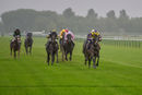Race 1 - Daddies Diva (7)