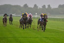 Race 1 - Daddies Diva (8)