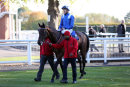 Race 1 - Dalaalaat (10)