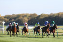 Race 1 - Dalaalaat (3)