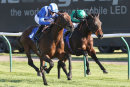 Race 1 - Dalaalaat (4)