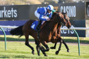 Race 1 - Dalaalaat (5)