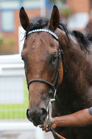 Race 1 - Danyah (9)