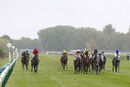 Race 1 - Dark Shift (3)