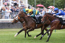 Race 1 - Dark Tulip (10)