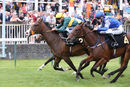 Race 1 - Dark Tulip (13)