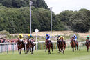 Race 1 - Dark Tulip (2)