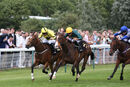 Race 1 - Dark Tulip (3)