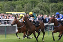 Race 1 - Dark Tulip (5)