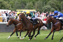 Race 1 - Dark Tulip (6)